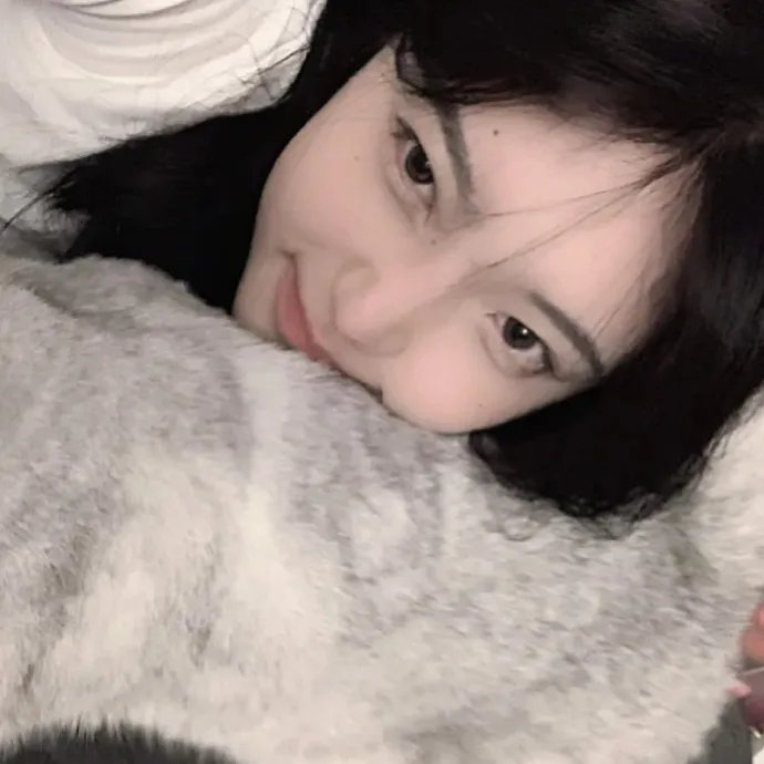 疯狂的狐狸